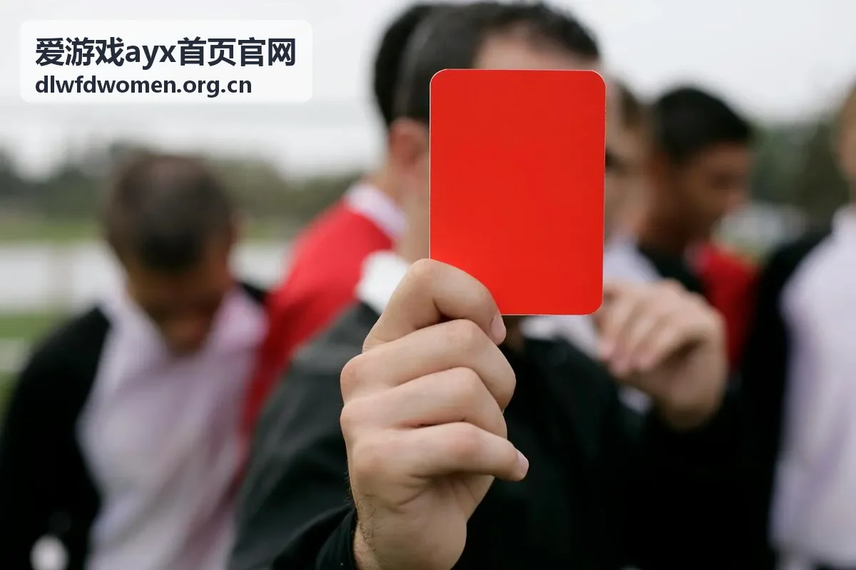 爱游戏ayx首页官网不同查阅场景的示意画面